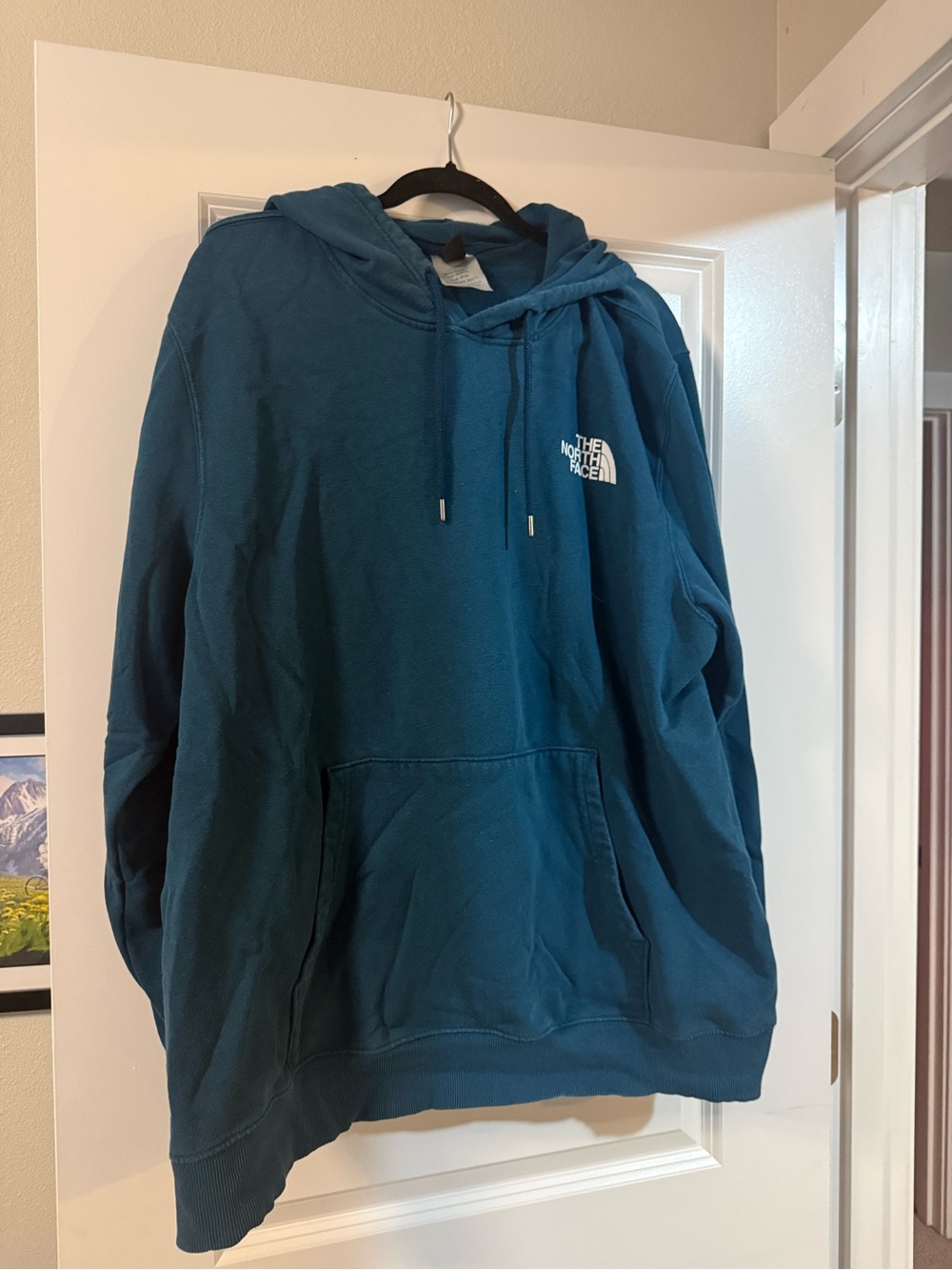 The North Face Men's Teal Blue Pullover Hoodie